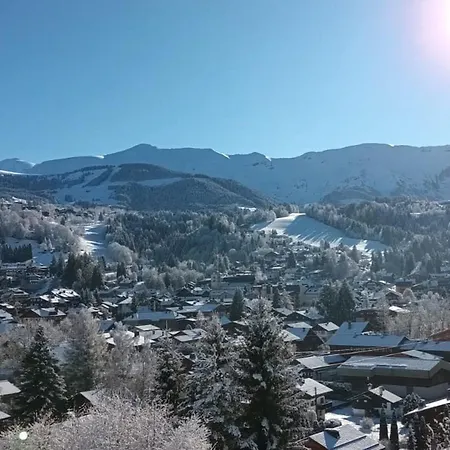 1 Et Mezzanine A Avec Balcon Et Animaux Admis - Fr-1-453-57