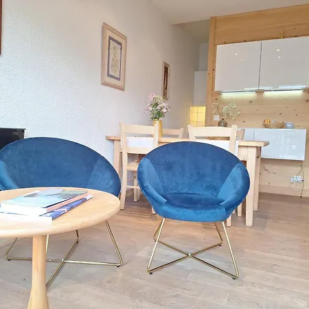 1 Et Mezzanine A Avec Balcon Et Animaux Admis - Fr-1-453-57 מגב