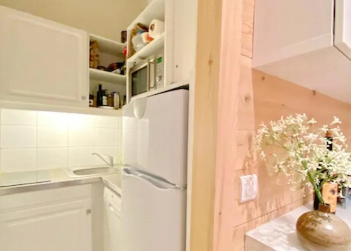 1 Et Mezzanine A Avec Balcon Et Animaux Admis - Fr-1-453-57 Lägenhet