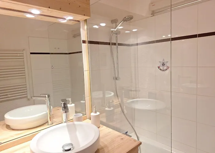 1 Et Mezzanine A Avec Balcon Et Animaux Admis - Fr-1-453-57 *