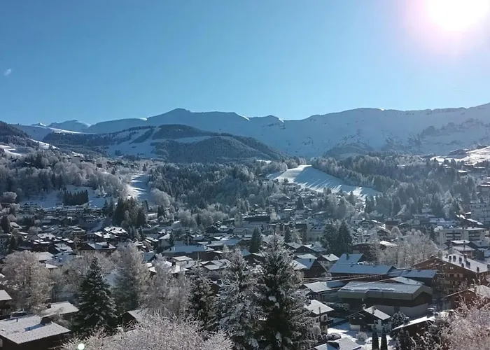 1 Et Mezzanine A Avec Balcon Et Animaux Admis - Fr-1-453-57